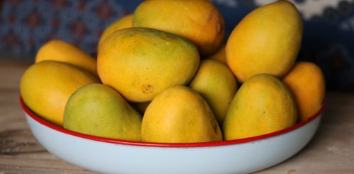 Bowl of ripe yellow mangoes with green patches, set against a patterned background.