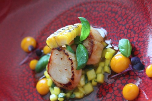 Seared scallops served with diced mango salsa, microgreens and grilled corn on a red plate.