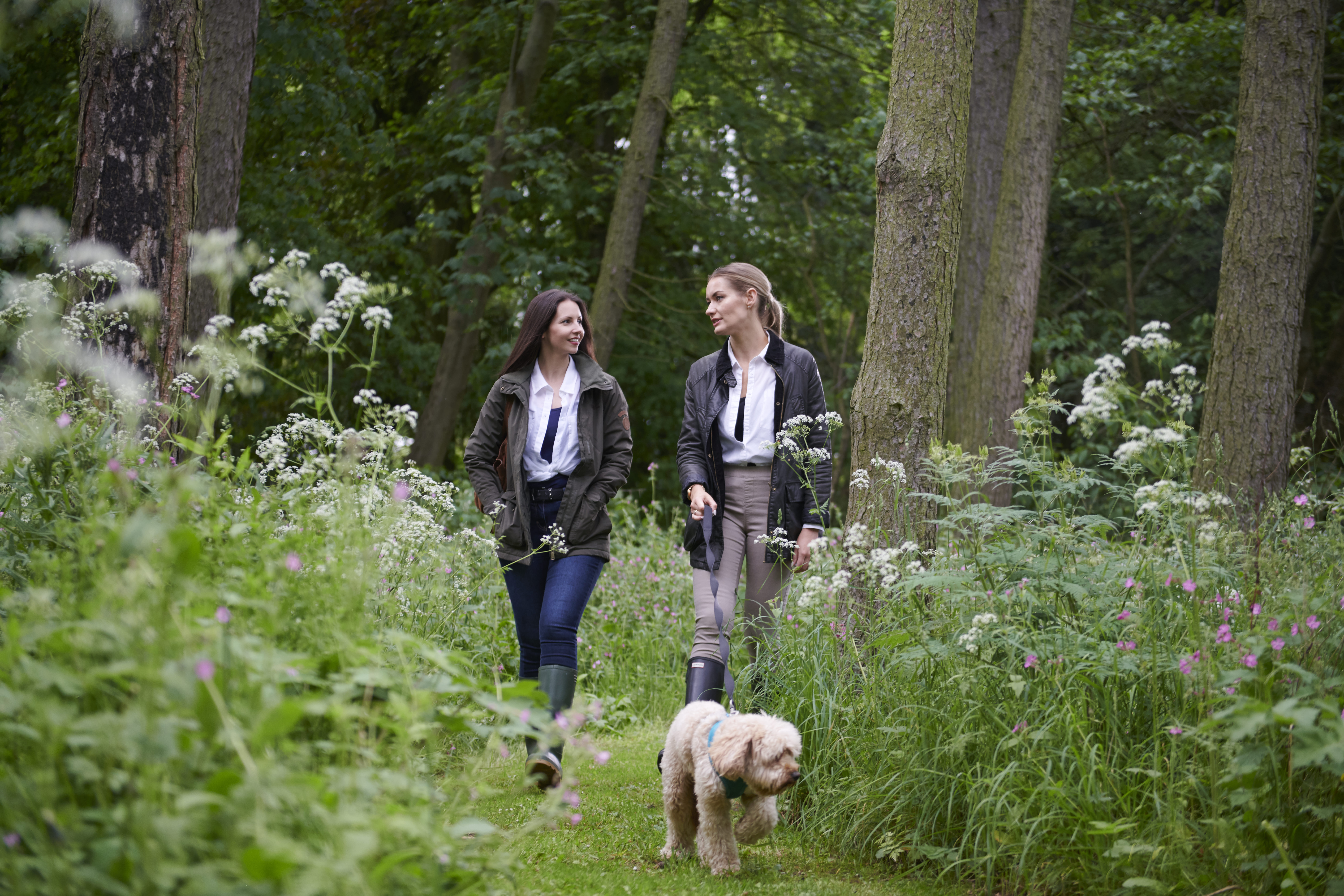 B&J Rufflets Card 4 1036