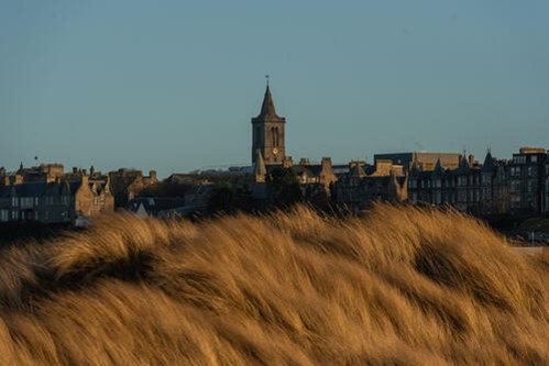 Golden beach grass swaying in the wind with the skyline of St Andrews and church spire in the distance.