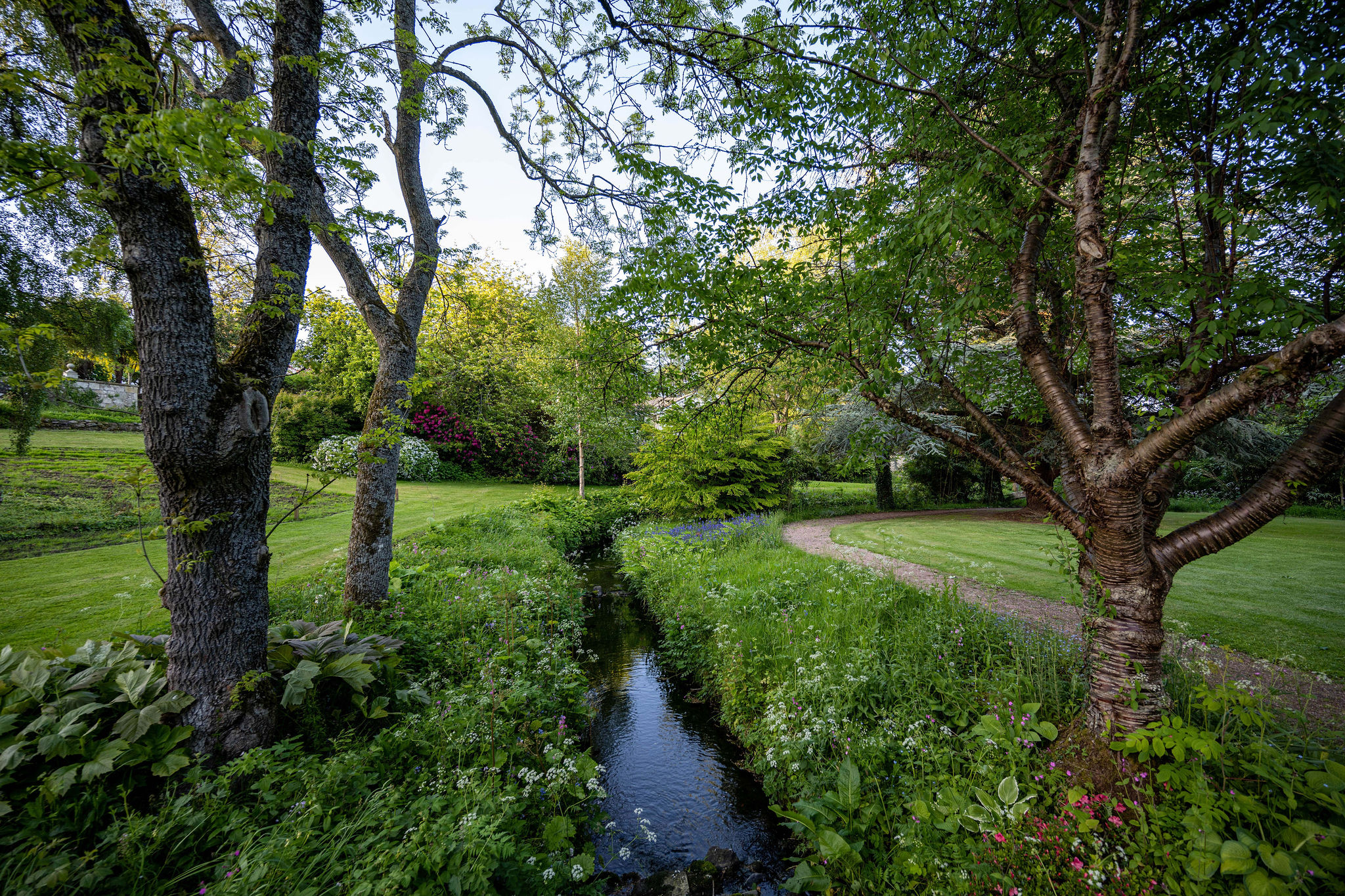 Lush green garden with a narrow stream flowing between tall trees and a manicured lawn.