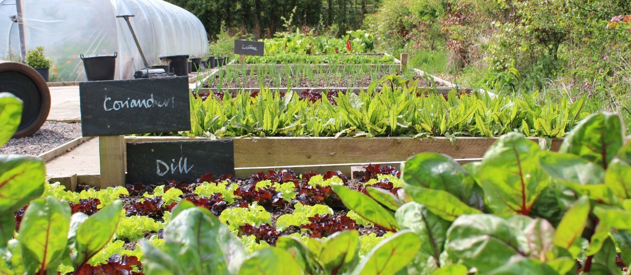 Kitchen Gardenslider 1260X550 1