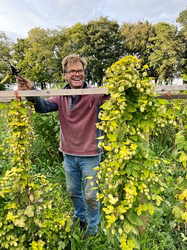 Smiling man harvesting green hops from a tall vine trellis in a lush garden at Rufflets St Andrews.