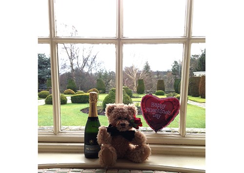 Teddy bear with champagne and heart balloon on a window ledge overlooking Rufflets gardens.