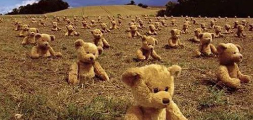 Field filled with identical teddy bears sitting evenly spaced across dry grass.
